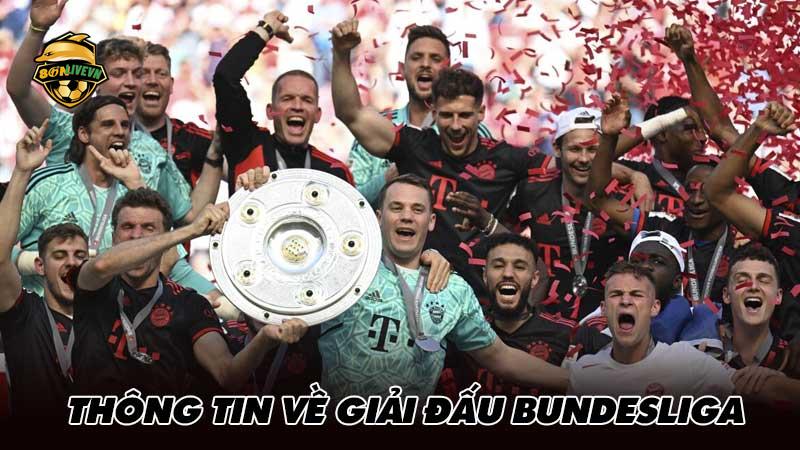 Thông tin về giải đấu Bundesliga